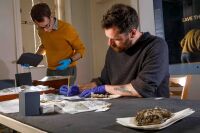 Melsonby Hoard Secures Funding