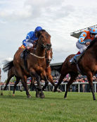 Beverley Racecourse