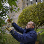 Bolton Castle Refreshes Groups Offer